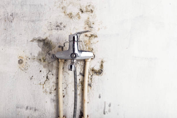 Best Office Mold Removal Services  in Monticello, WI