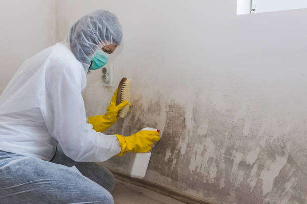 Crawl Space Mold Removal in Monticello, WI