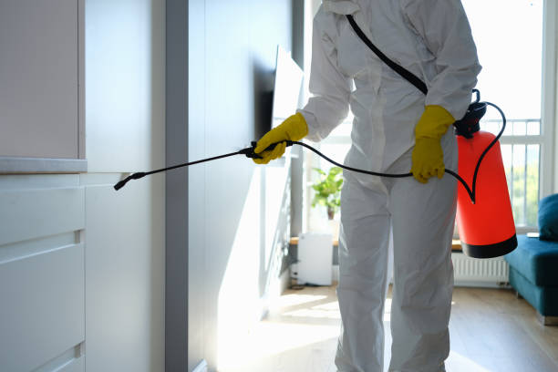 Best Fast Mold Removal  in Monticello, WI