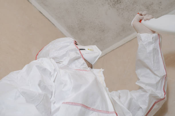 Best Professional Mold Removal  in Monticello, WI